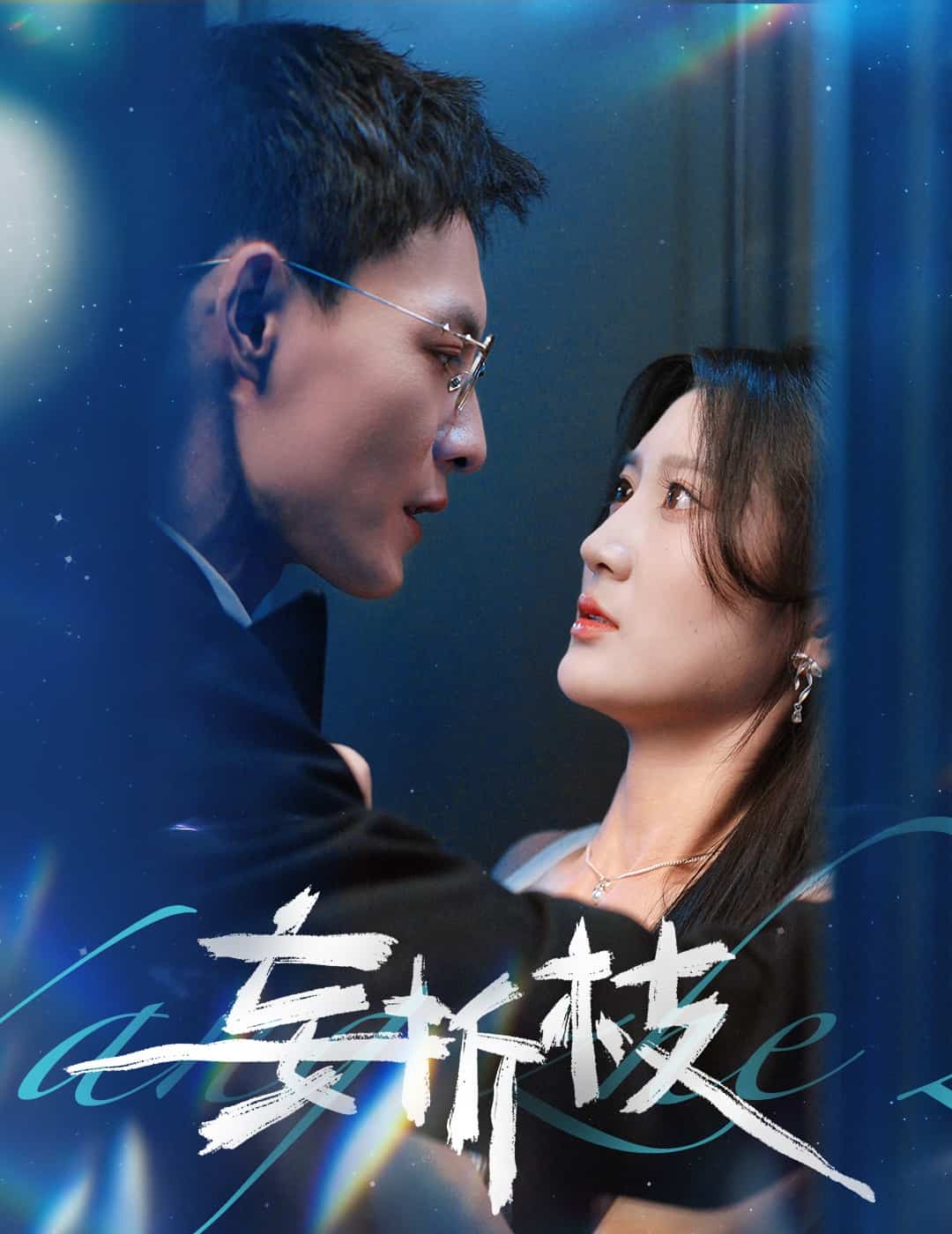 妄折枝海報