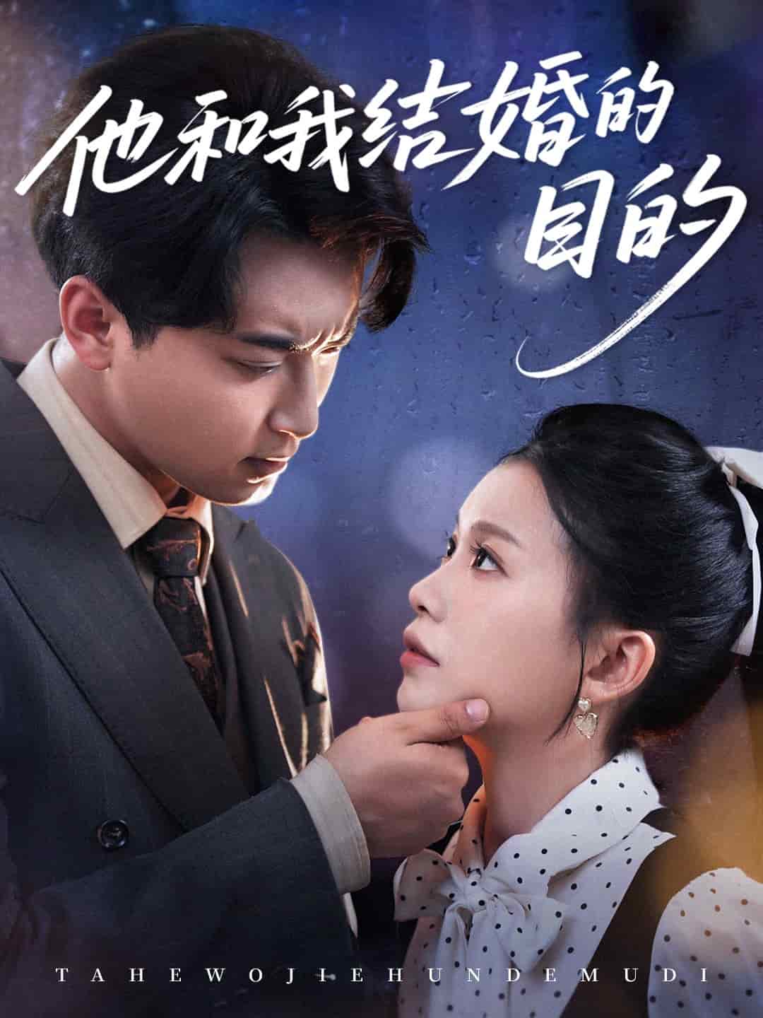 他和我結婚的目的海報