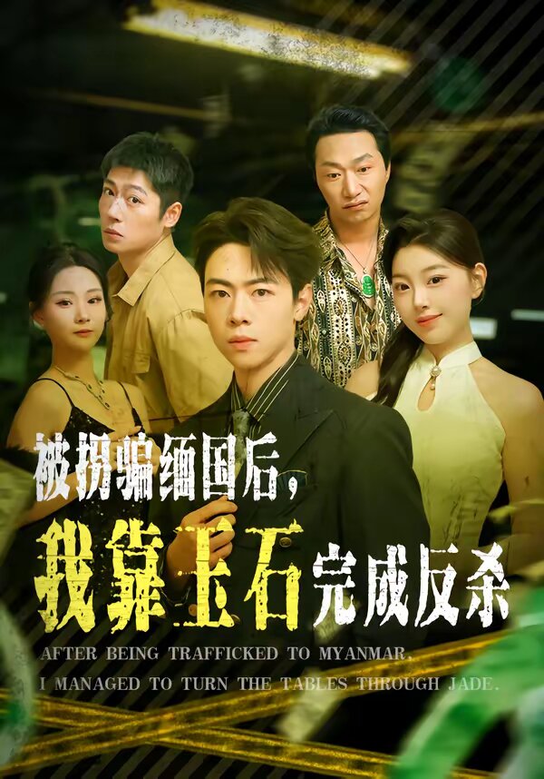 被拐騙緬國後,我靠玉石完成反殺海報