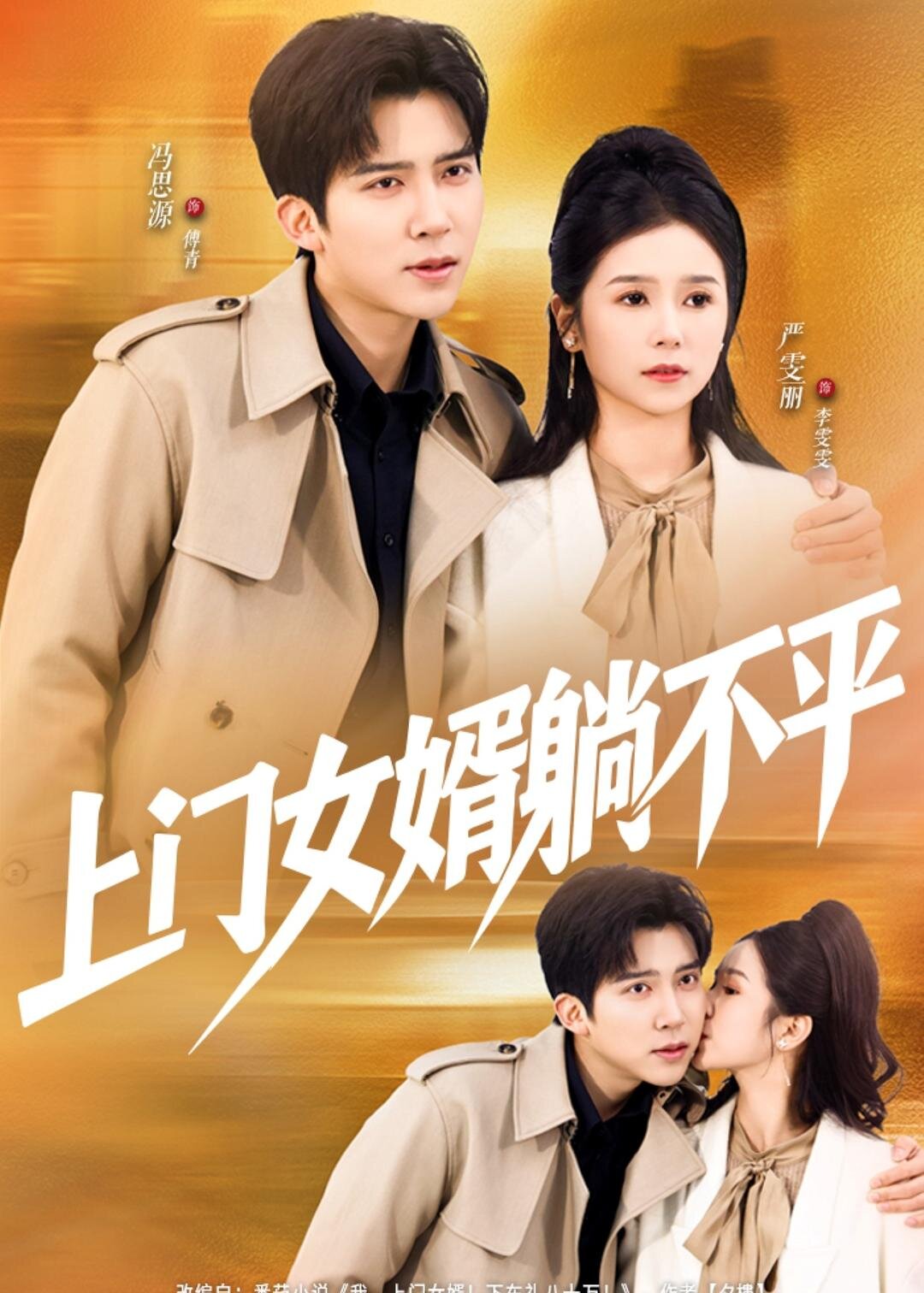 上門女婿躺不平海報