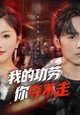 我的功勞,你奪不走海報
