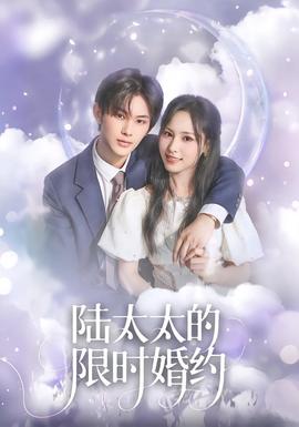 陸太太的限時婚約海報