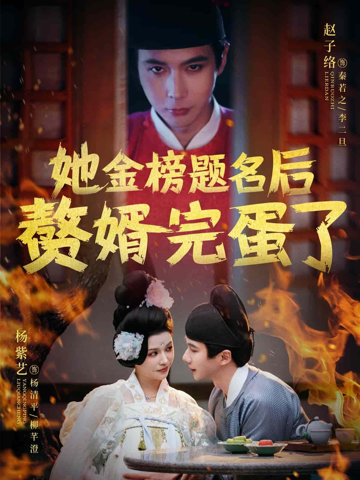 她金榜題名後贅婿完蛋了海報