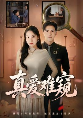 真愛難窺海報