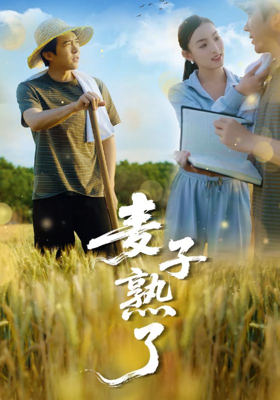麥子熟了海報