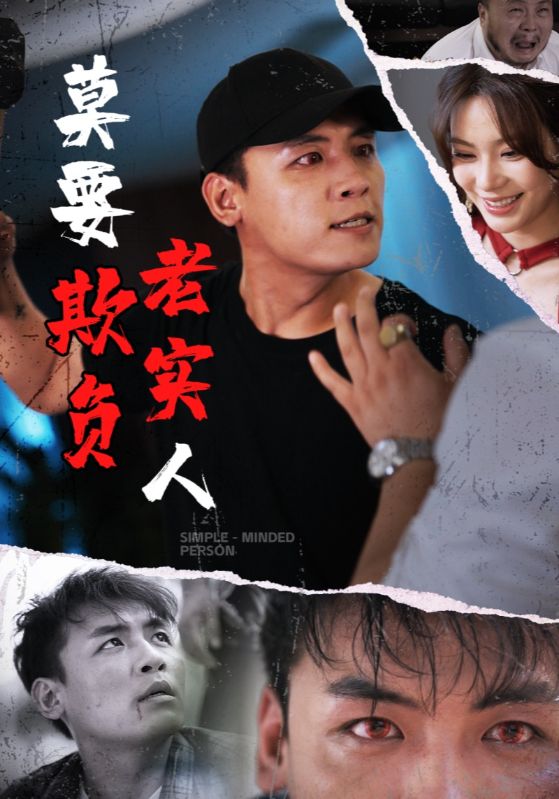 莫要欺負老實人海報