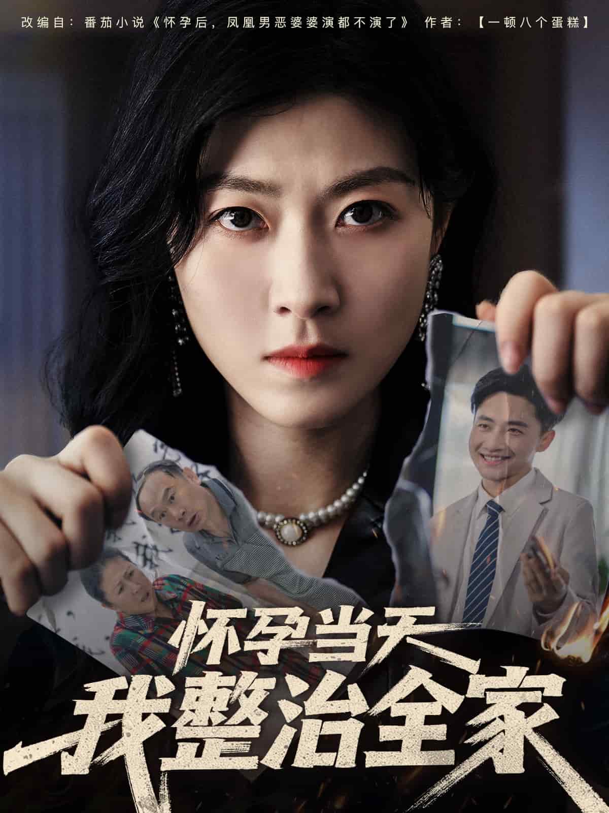 懷孕當天我整治全家海報