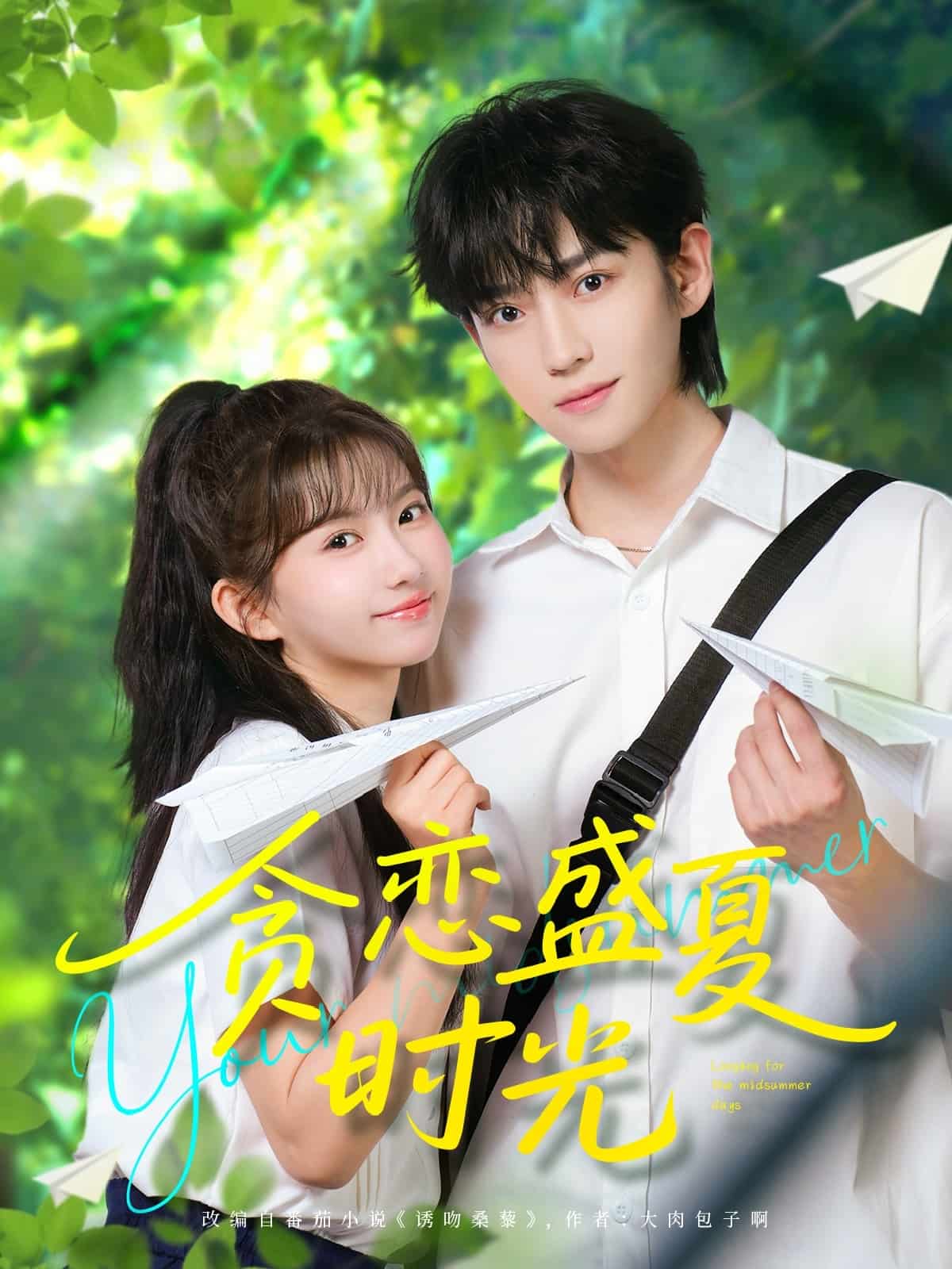 貪戀盛夏時光海報