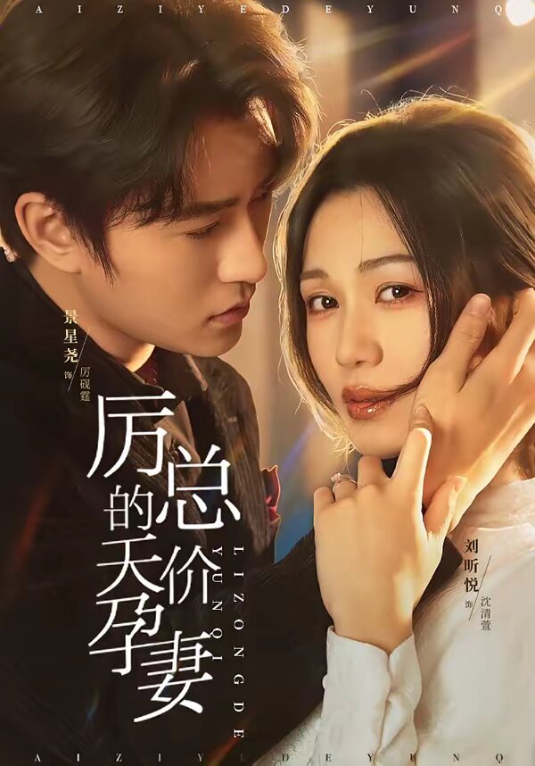 厲總的天價孕妻海報