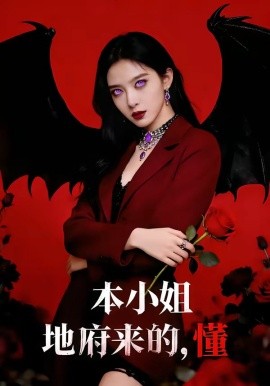小姐地府來的,懂海報