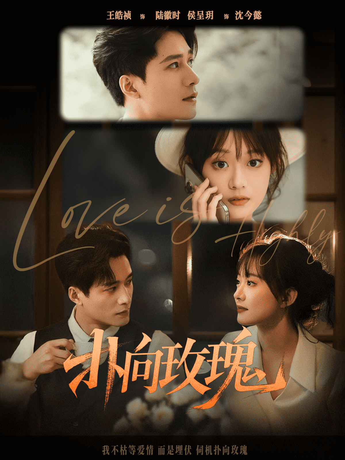 撲向玫瑰海報
