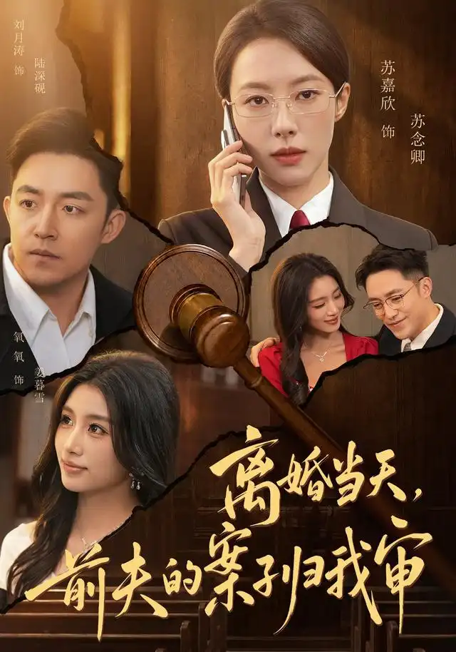 離婚當天,前夫的案子歸我審海報