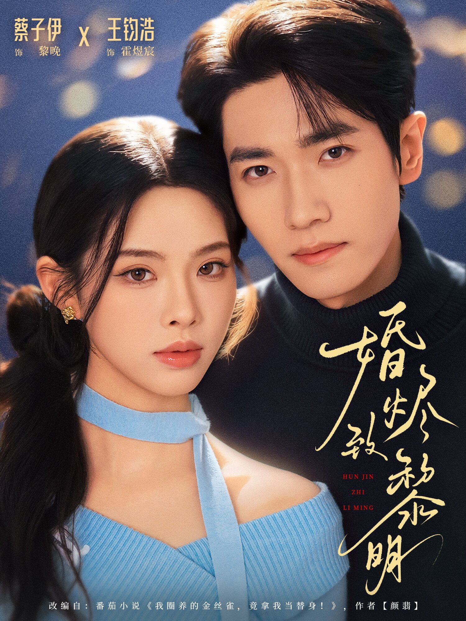 婚燼致黎明海報