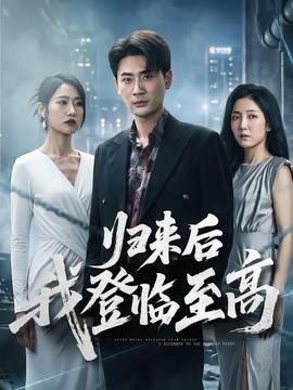 歸來後我登臨至高海報