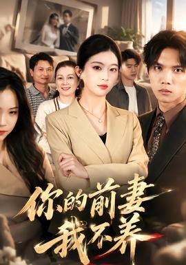 你的前妻我不養海報