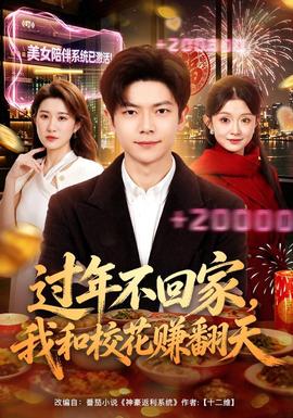 過年不回家,我和校花賺翻天海報
