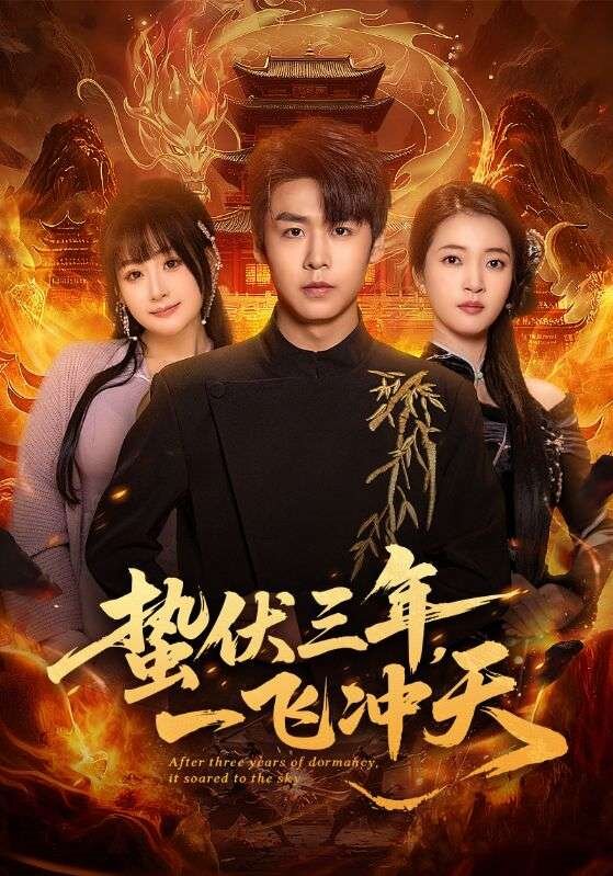 蟄伏三年,一飛沖天海報