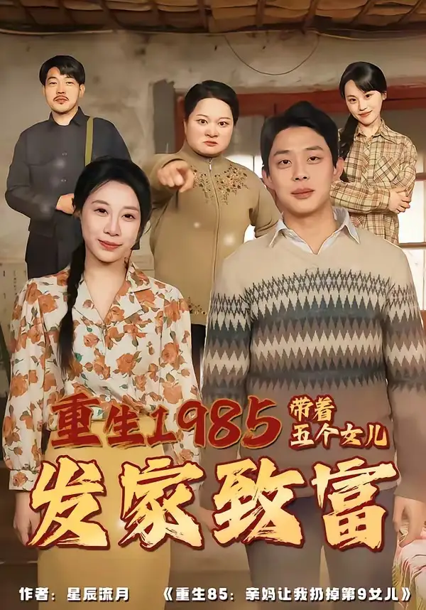 重生1985:帶著五個女兒發家致富海報