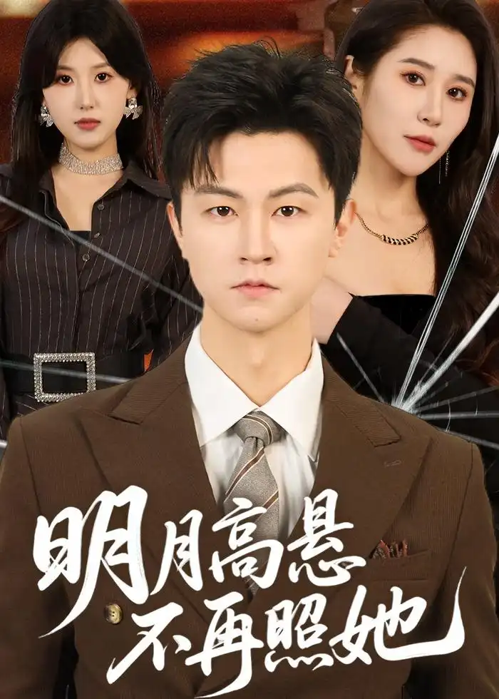 明月高懸不再照她海報
