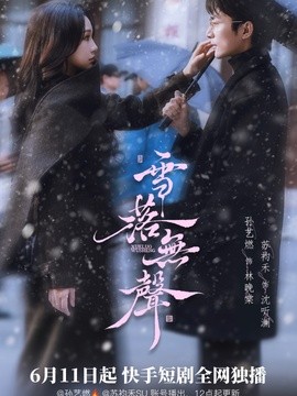 雪落無聲短劇海報
