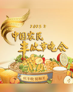 中國農民豐收節晚會海報