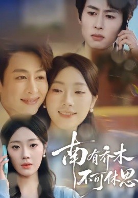 南有喬木,不可休思海報