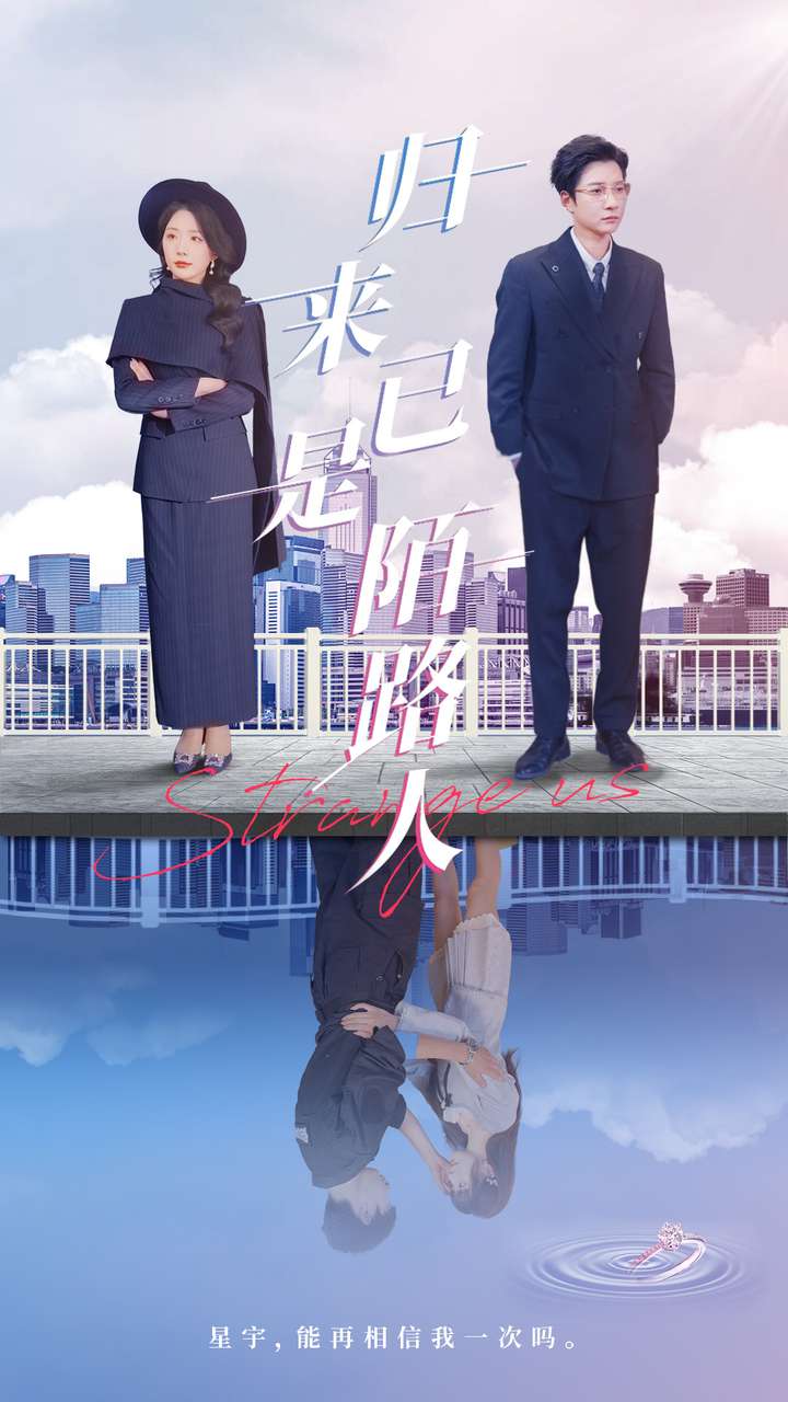 歸來已是陌路人海報