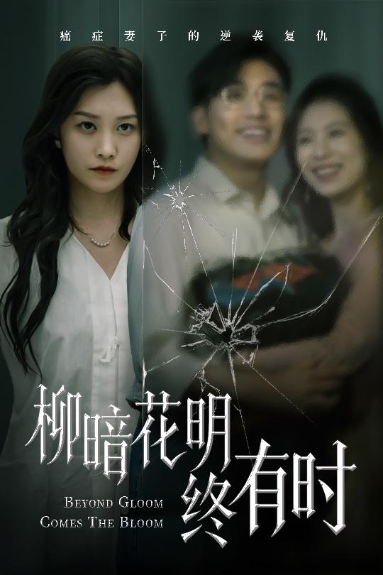 柳暗花明終有時海報