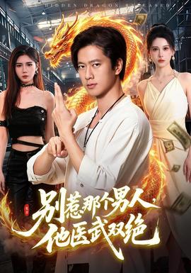 別惹那個男人,他醫武雙絕海報