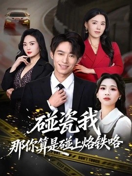 碰瓷我那你算是碰上烙鐵咯海報