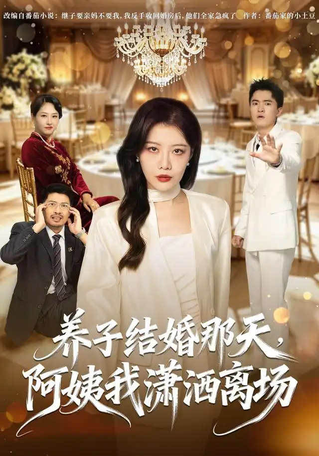養子結婚那天,阿姨我瀟灑離場海報