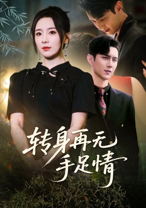 轉身再無手足情海報