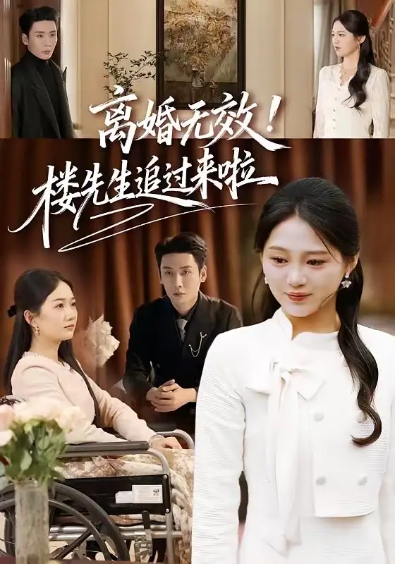 離婚無效!樓先生追過來啦海報
