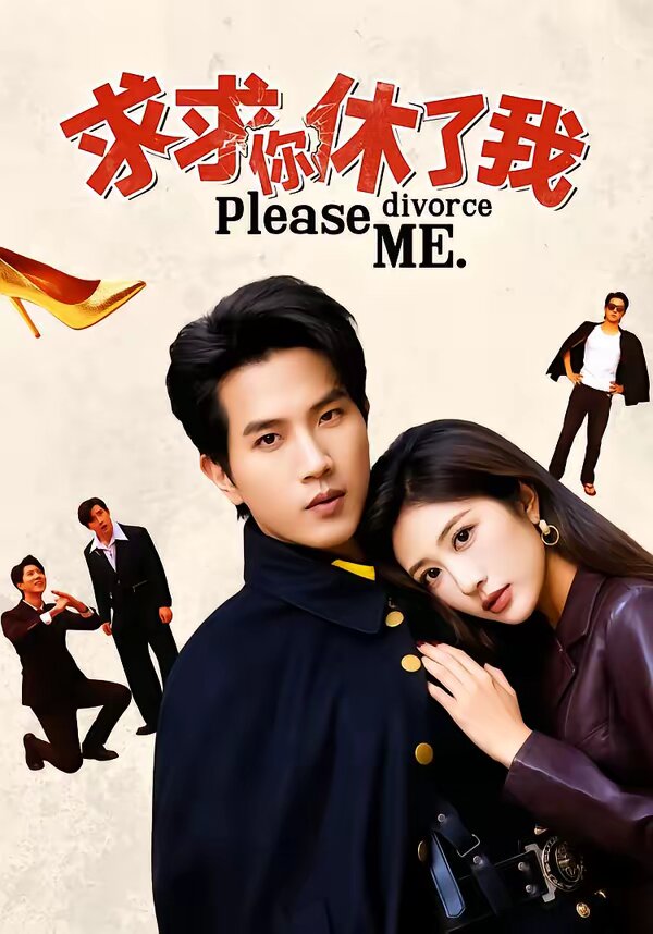 求求你休了我海報