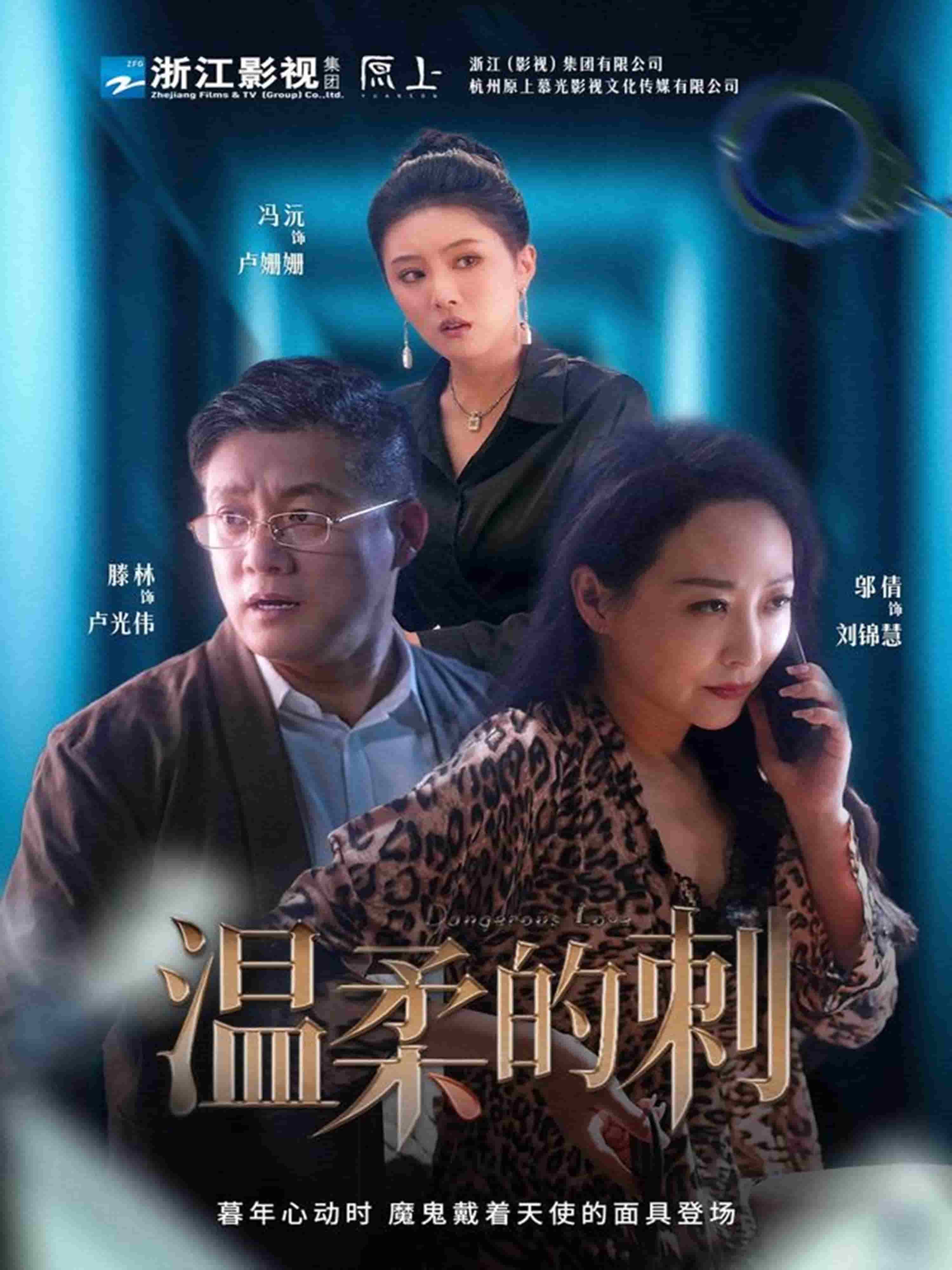 溫柔的刺海報