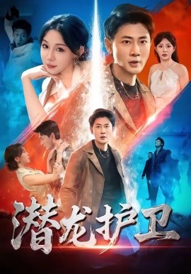 潛龍護衛海報