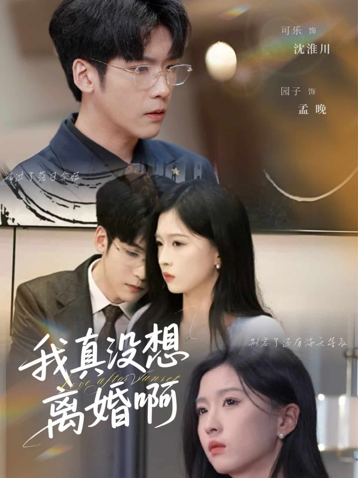我真沒想離婚啊海報