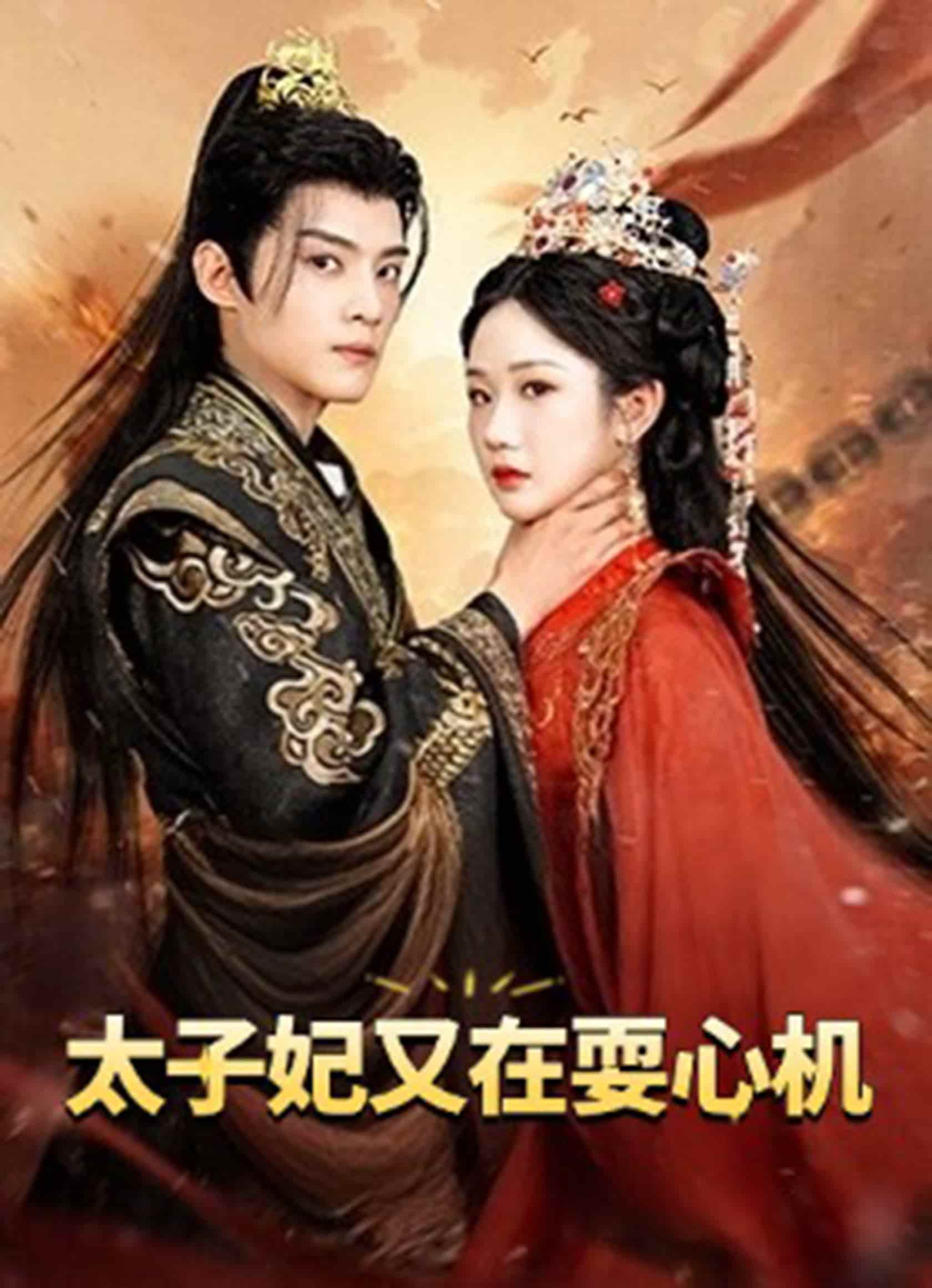 太子妃又在耍心機海報