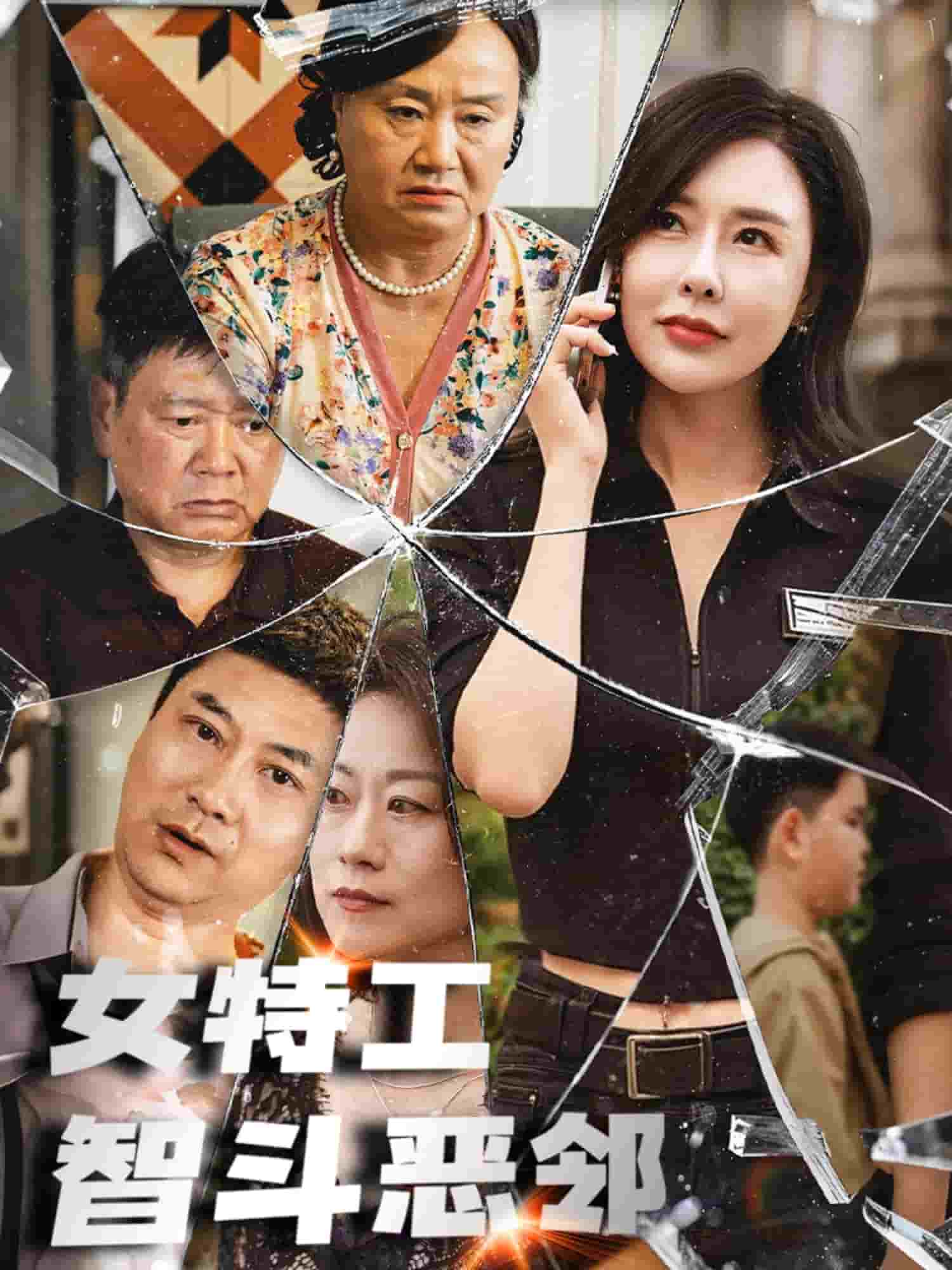 女特工智鬥惡鄰海報