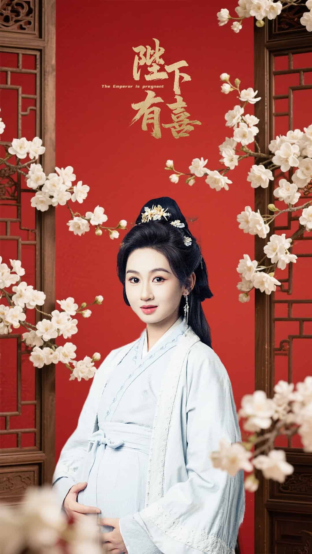 陛下有喜海報