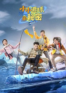 小小追球的秘密海報
