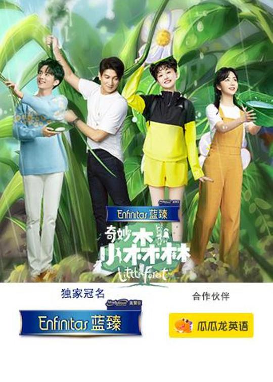 奇妙小森林海報