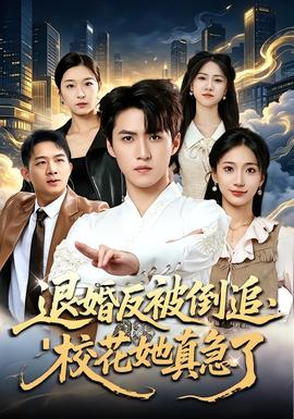 退婚反被倒追,校花她真急了海報