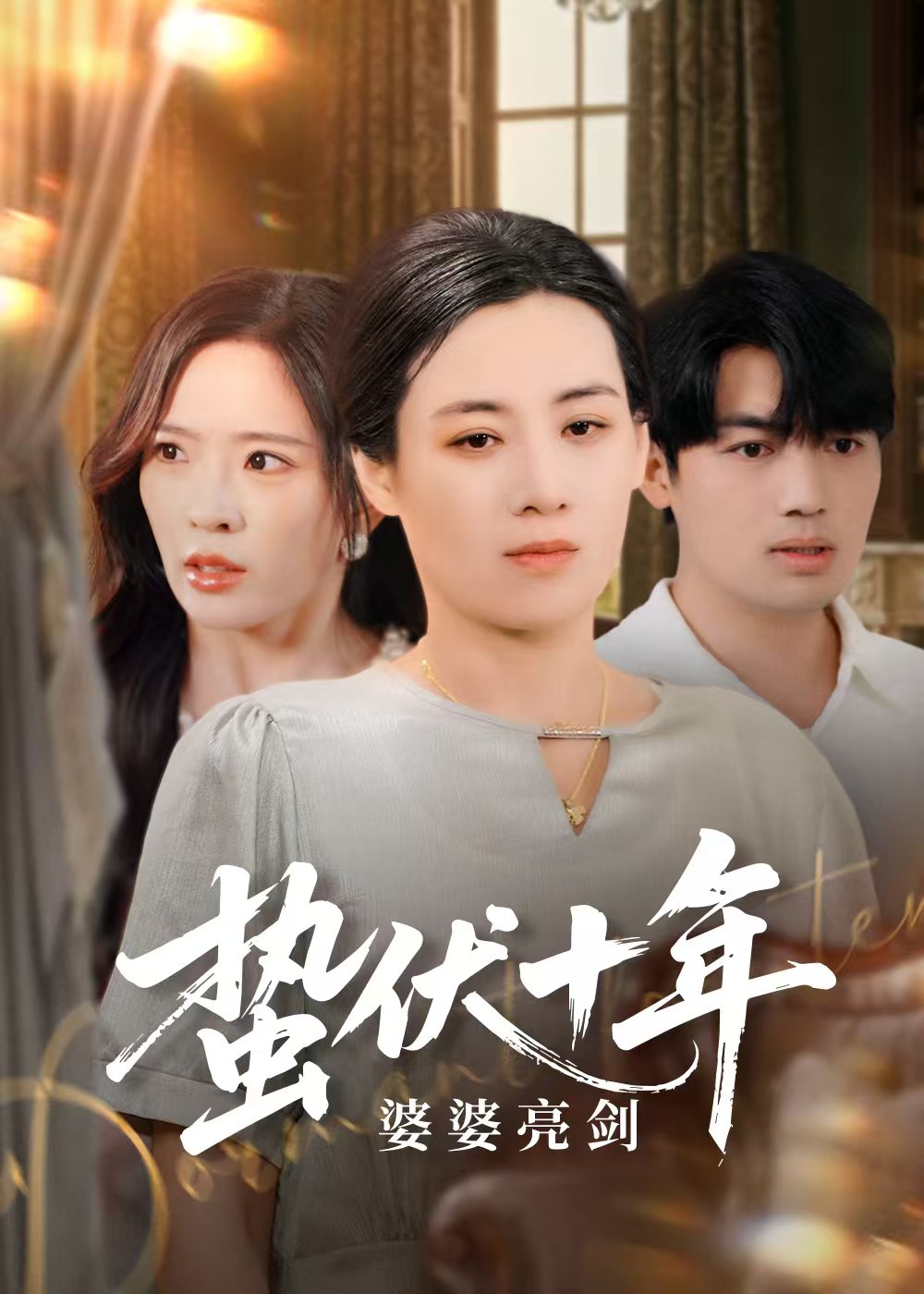 蟄伏十年婆婆亮劍海報
