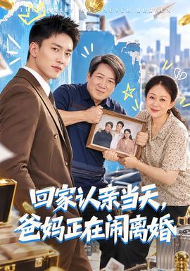 回家認親當天,爸媽正在鬧離婚海報