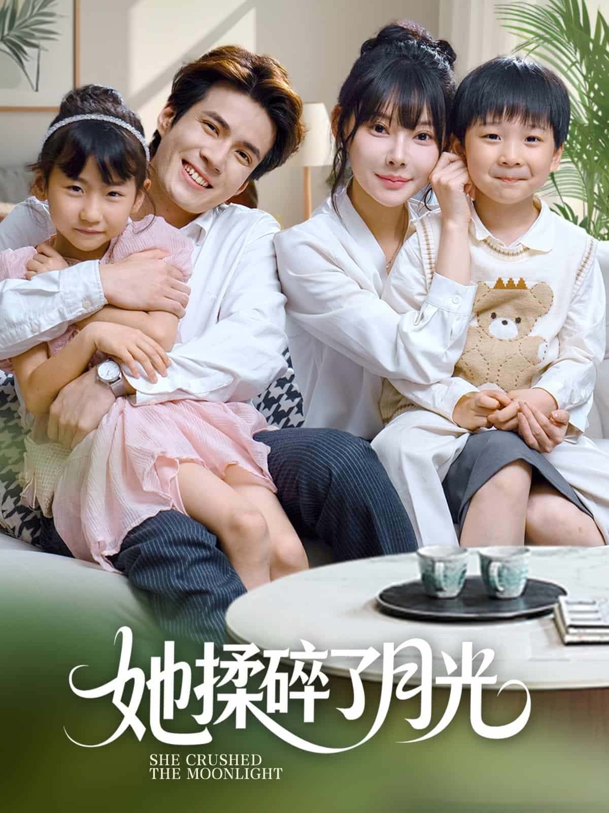 她揉碎了月光海報