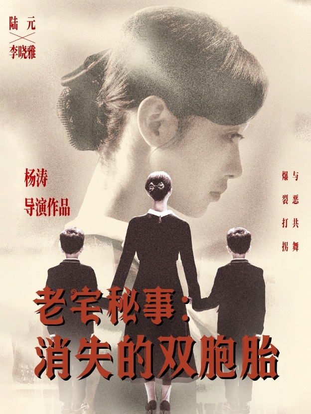 老宅秘事消失的雙胞胎海報