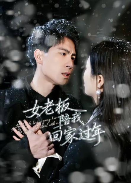 女老闆陪我回家過年海報