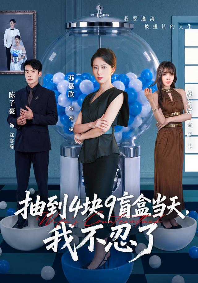 抽到4塊9盲盒當天,我不忍了海報