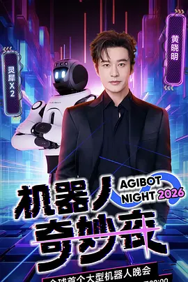 機器人奇妙夜海報